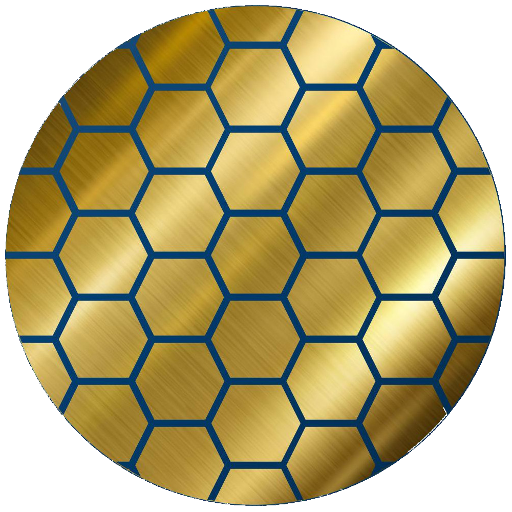 Project Logo